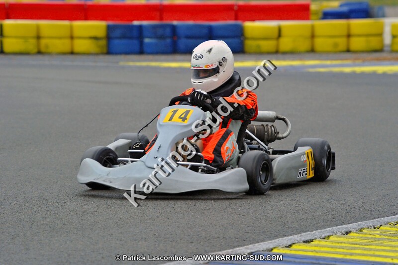 DSC_ (930).jpg